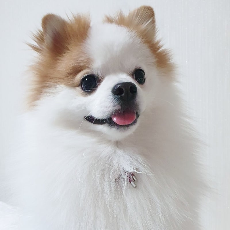 사진 2