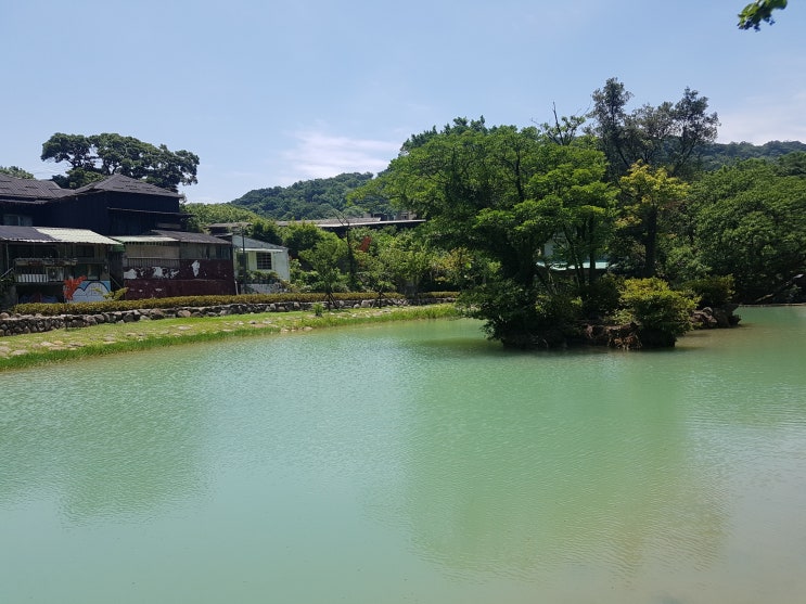  [타이완 타이베이 3일 자유여행] 3일차: 양명산 랜디스 리조트