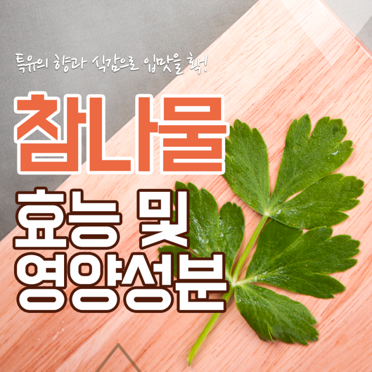  입맛잡는 참나물 효능 (영양성분) 정리
