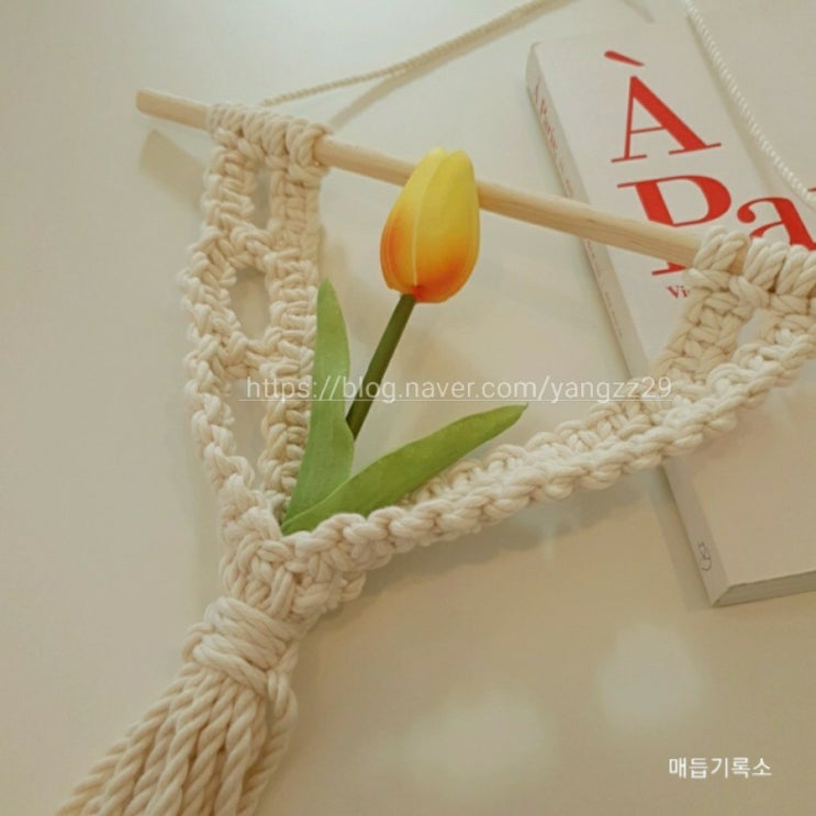  올여름 인테리어는 행잉플랜트 (마크라메와 튤립의 조화)