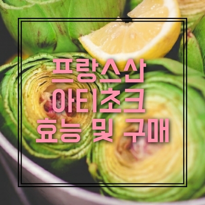  유럽의 불로초 아티초크 효능 파헤치기
