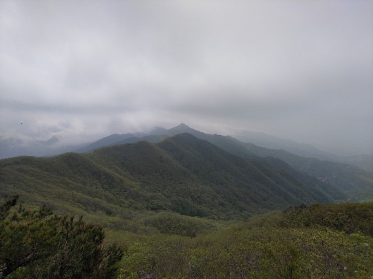 100대명산-38, 민주지산 최단코스 등산(민주지산 자연휴양림~용화천 발원지~민주지산)