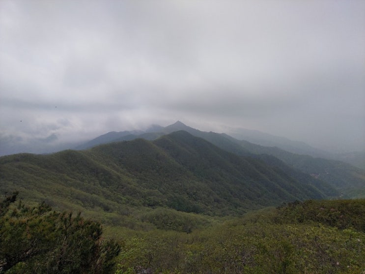  100대명산-38, 민주지산 최단코스 등산(민주지산 자연휴양림~용화천 발원지~민주지산)