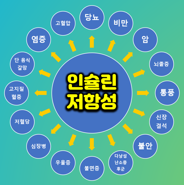  기능의학에서는 인슐린 저항성을 어떻게 검사하고 왜 중요하게 생각할까요??