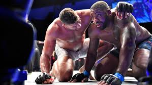 UFC 잭슨빌 대전료: 오브레임 5억원 등 MMA 뉴스 UFC 잭슨빌 대전료: 오브레임 5억원 등 MMA 뉴스