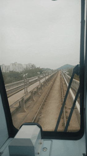  인천대공원(어린이동물원)