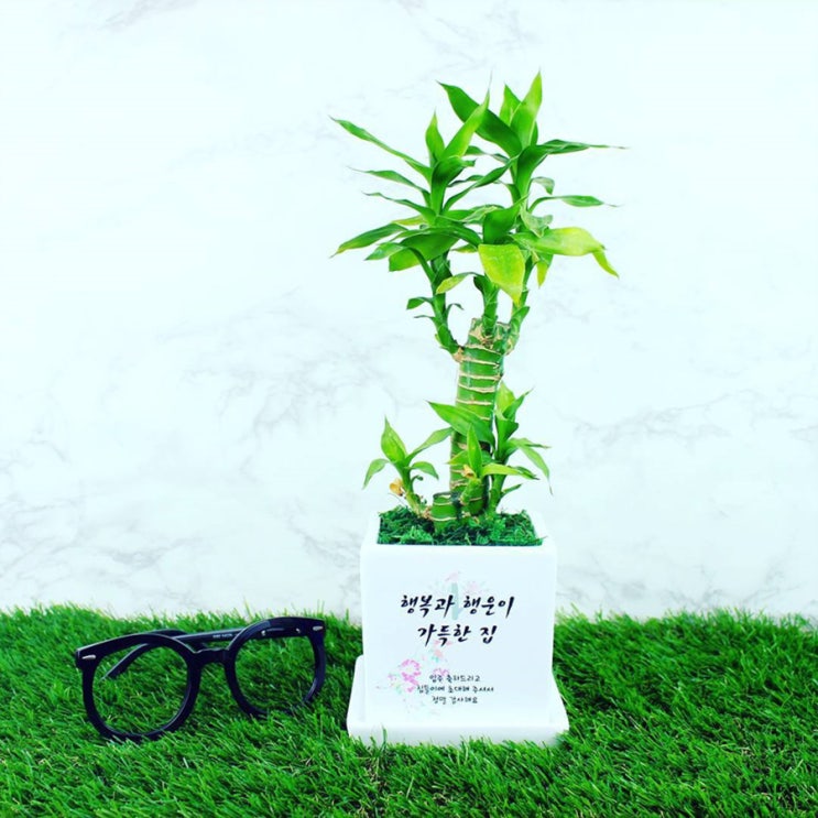  미니화분 센스있게 준비한 그린조아
