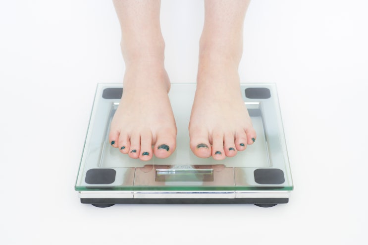 [여의도 다이어트] 요요없이 건강하게 감량하는 한방 다이어트 원리
