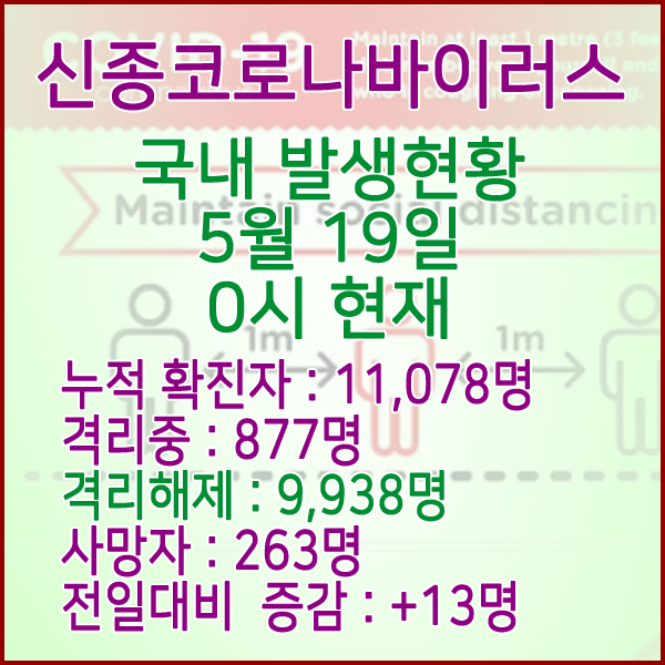  코로나19(코로나바이러스) 5월 19일 0시 국내 발병 11,078명 / 9,938명 완치 격리해제 / 사망자 263명