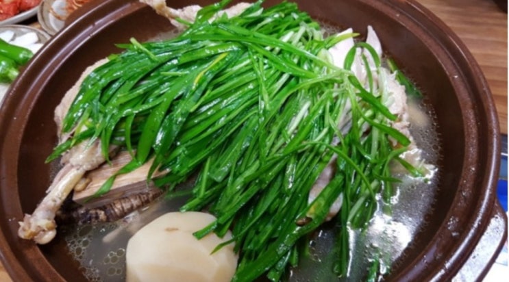  제주도가면 먹어봐야할 맛집 ! 오리더덕구이 맛집 경도원가든 다녀온날 !!