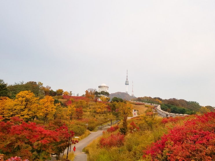  2019 가을겨울 풍경