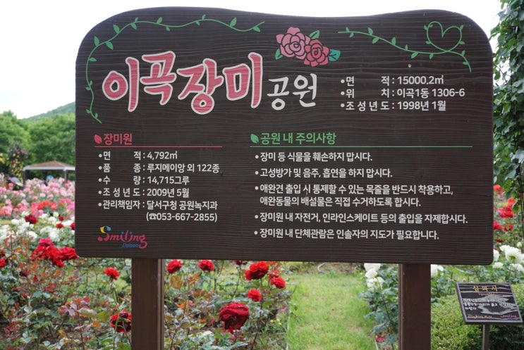  이곡장미공원 축제