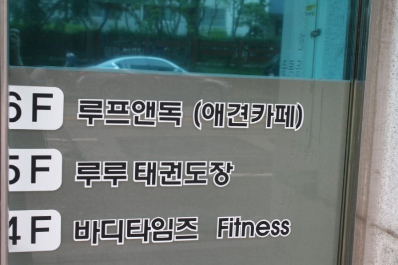 루프앤독