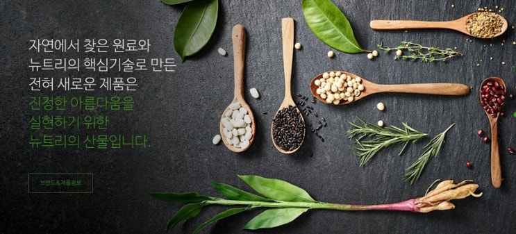  뉴트리 시황체크까지 재벌투자연구소에서 다 해주니 수익 시간문제