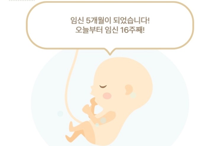  임신16주 증상