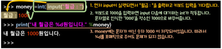  [코알못 Python] 2-2강. 기다리고, 입력을 받아주는 input 함수 사용법 (2)