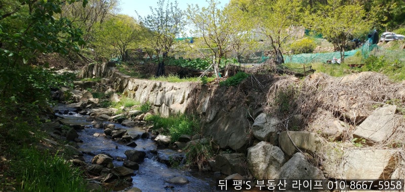 기장군-NO.28 기장 계곡 시냇물 흐르는 전원 생활 주말 농장 텃밭 : 네이버 블로그