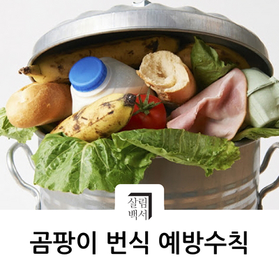  [살림노하우] 곰팡이 제거 방법보다 중요해. 간단히 알고 갈 곰팡이 번식 예방 수칙!