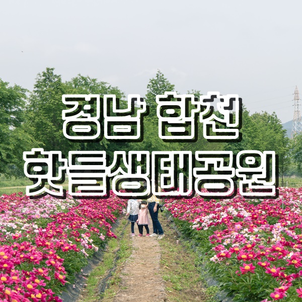  경남 합천에서 작약꽃을 만날 수 있는곳 핫들생태공원