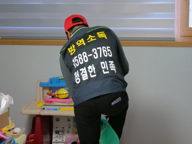  끔찍한 바퀴벌레(독일바퀴, 이질바퀴,먹바퀴,집바퀴)의 종류와 방역