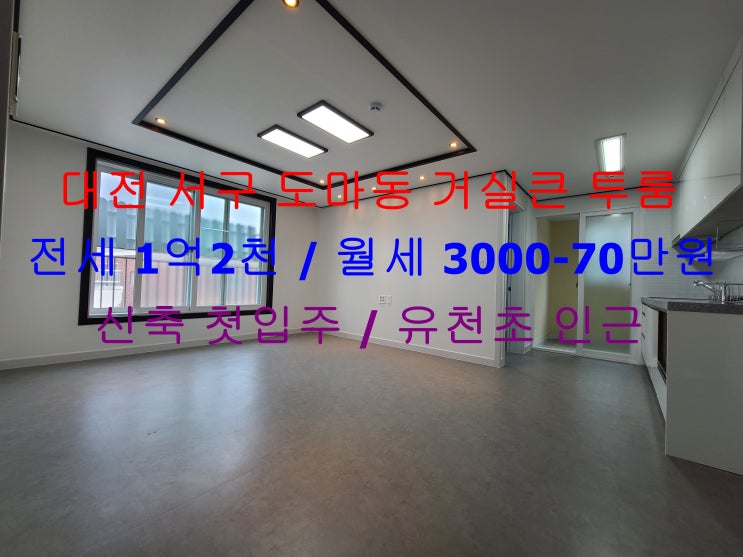  대전 서구 도마동 유천초 인근에 있는 신축 첫입주 ! 거실큰 투룸 전세 월세 모두 가능한 매물입니다 ^^
