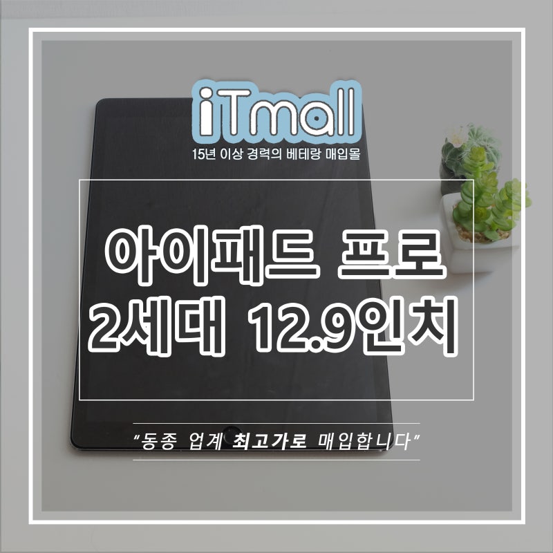 아이패드 프로 2세대 12.9 32GB 중고 매입 후기