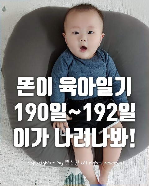  생후 6개월 아기 육아일기  190일~192일. 왔구나 이앓이!