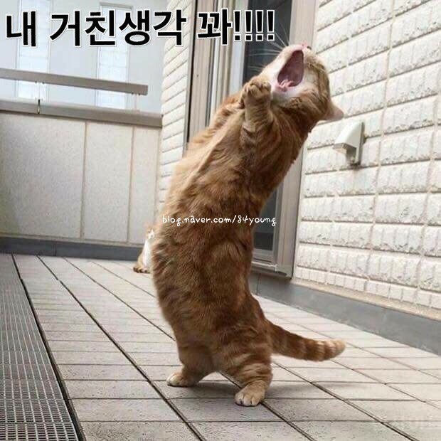  습관만들기34. 2020.05.20