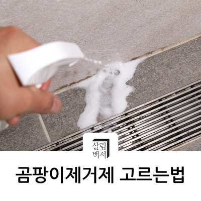  [살림노하우] 곰팡이 제거시, 올바르게 곰팡이제거제 고르는 법