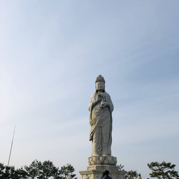  2019 강원도 여행 Day 2 Feat. 봉포머구리, 낙산사 해수관음상, 정동진역
