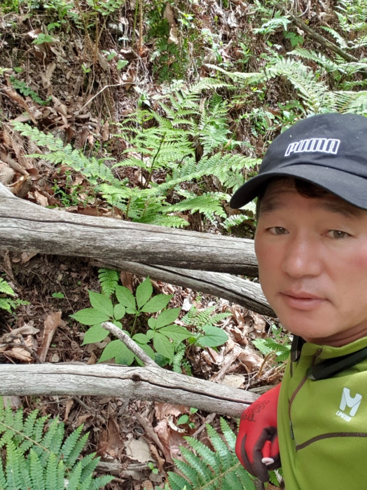 블로거 첫게시글 블로거 첫게시글