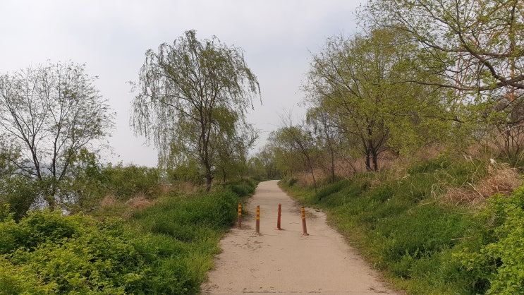  우울증 증상 원인과 치료