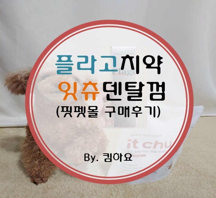  핏펫몰 플라고치약, 잇츄덴탈껌 구매후기