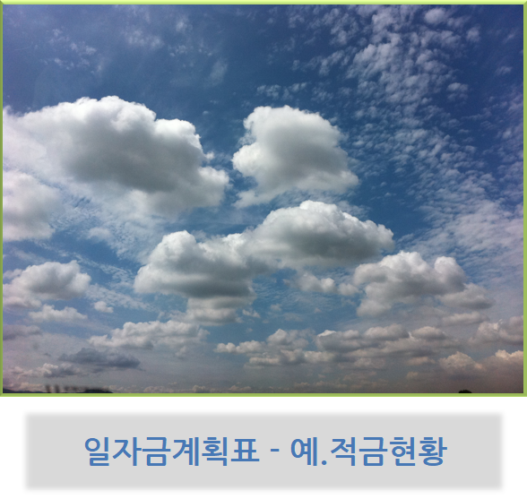  일자금 계획표 - 예. 적금 현황 ( 수신 현황 )