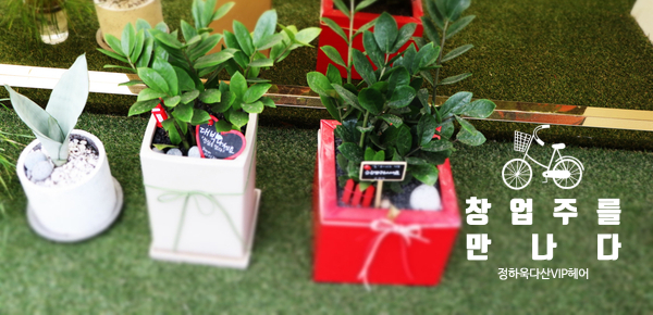  다산 VIP헤어 방문_가발창업