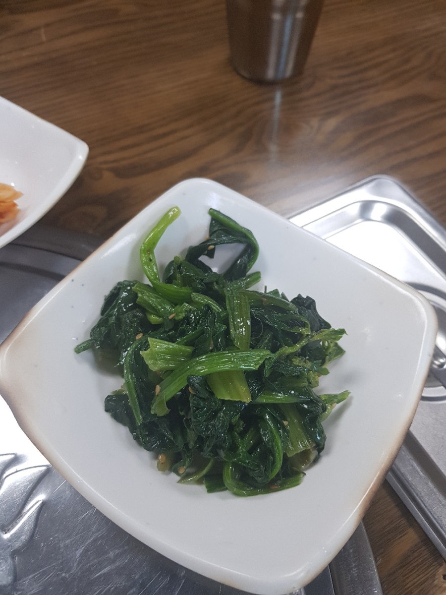 서진청둥오리 사진 4