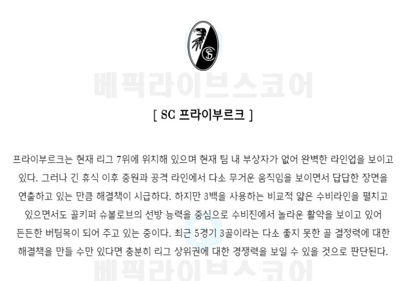 독일 분데스리가 분석글