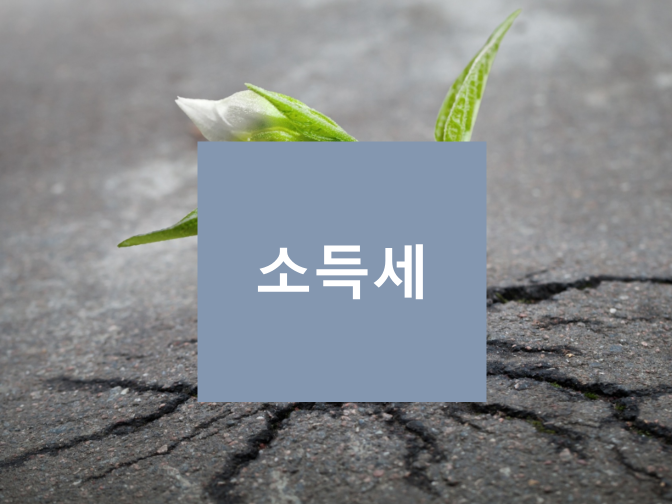  소득세 납세의무 다하지 않으면 수억 원대의 세금폭탄!!