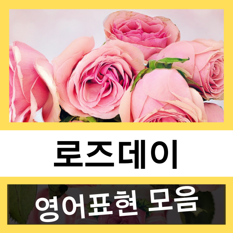  로즈데이 관련 영어표현 모음 #왕초보 영어훈련소