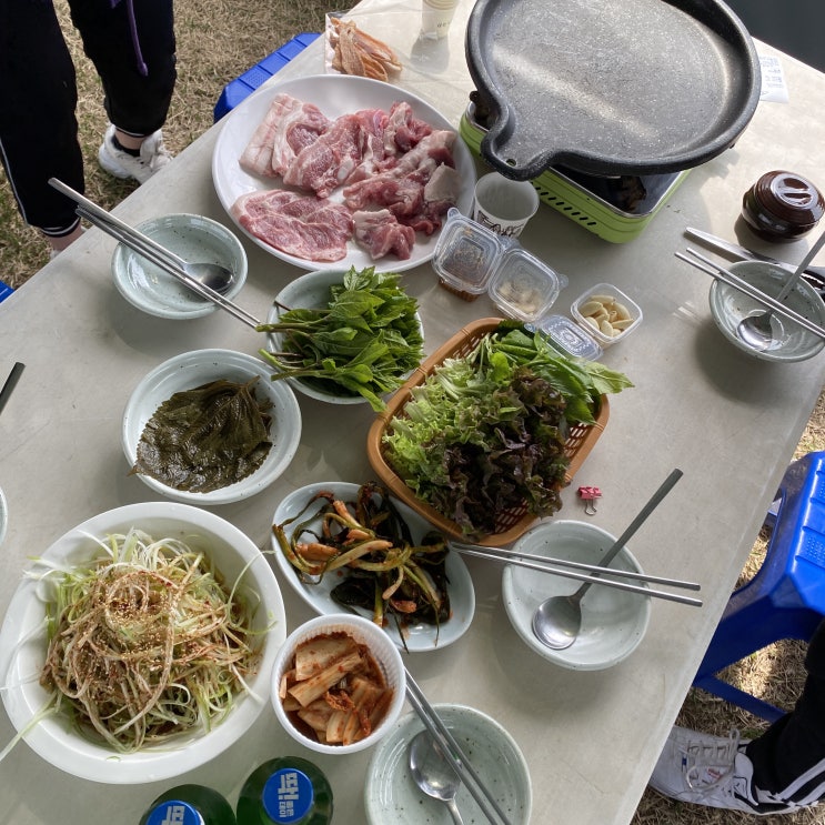  부산근교 애견운동장 " 놀다가개"+바베큐장 이용후기 | 부산,김해,양산,울산