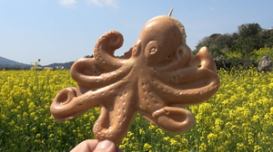 Octopus-shaped cheese bread | 제주 치즈 문어빵 | Korean street food