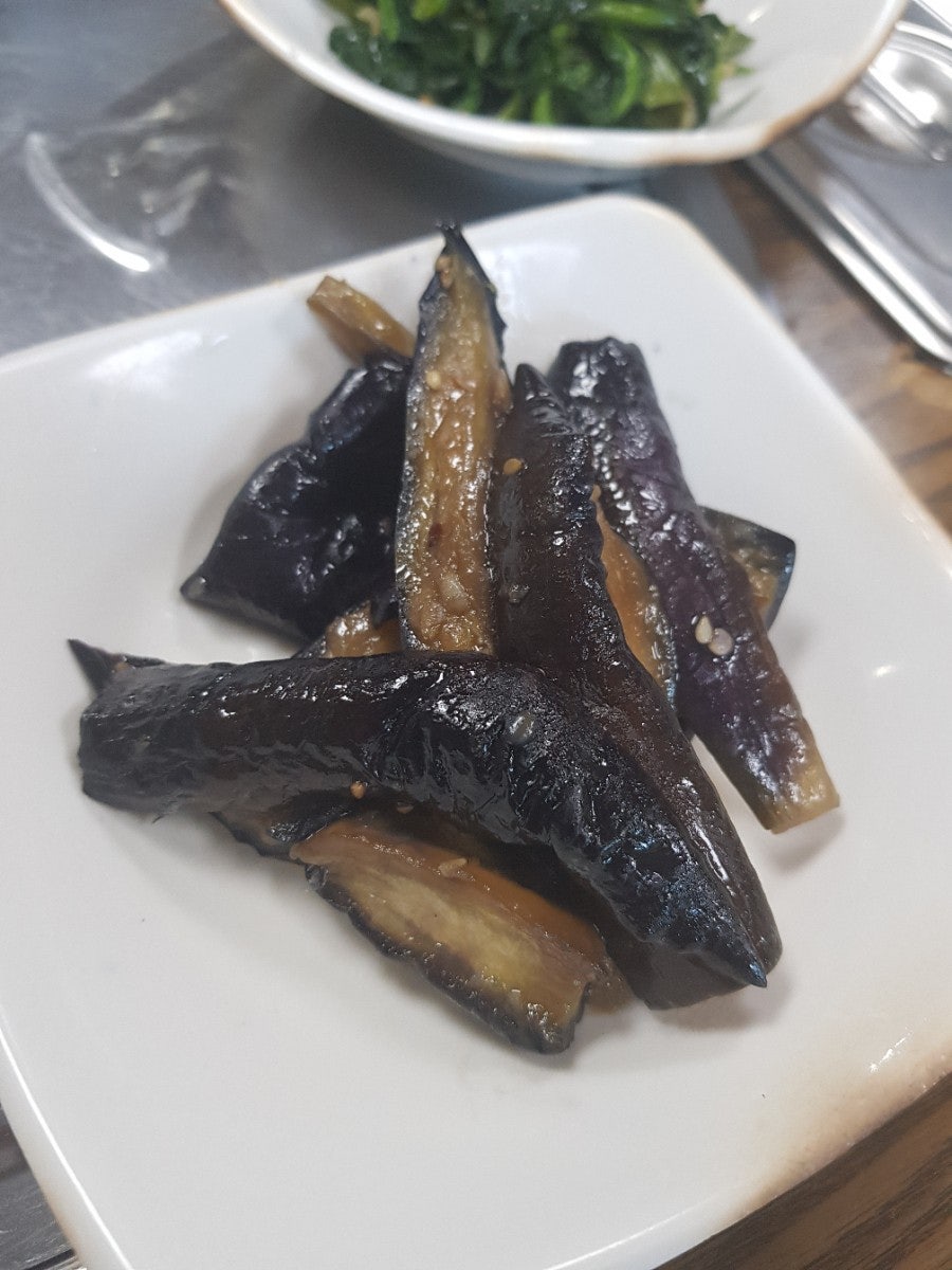 서진청둥오리 사진 3