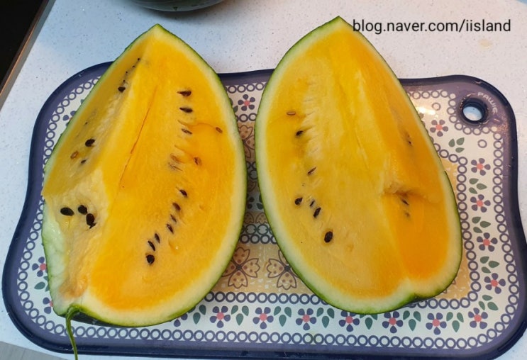  수박인데 속이 노란 망고수박(맛도 망고맛?)