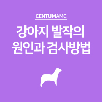  강아지 발작의 원인과 검사방법