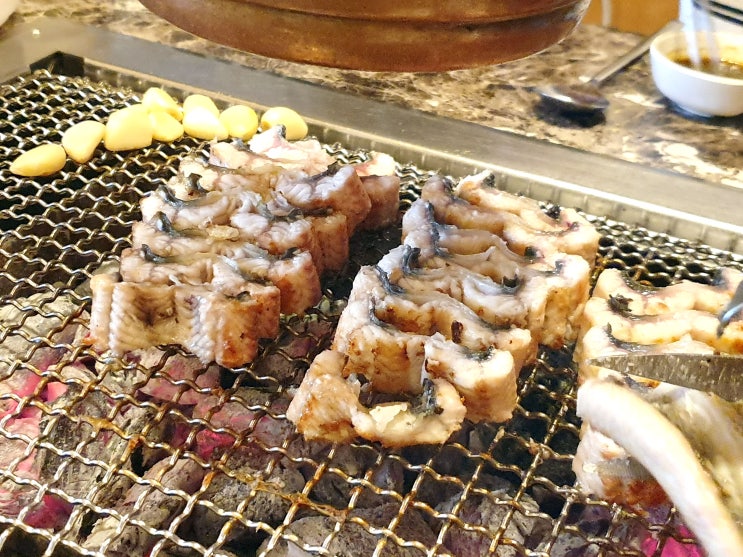  제주시 노형 소고기&장어 무한리필 도민 사이드메뉴 무료 할인 쿠폰 정보!