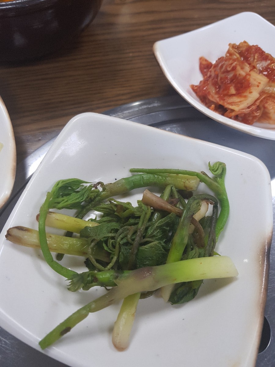 서진청둥오리 사진 5