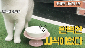 고양이 신상 간식캔 시식기 2탄(LG유니참 긴노스푼캔 먹방 ASMR) 고양이 신상 간식캔 시식기 2탄(LG유니참 긴노스푼캔 먹방 ASMR)