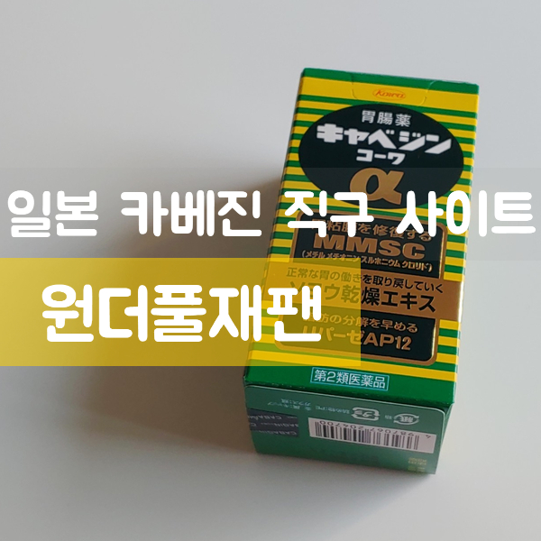  일본 카베진 구입은 쉽고 빠르게 원더풀재팬 에서