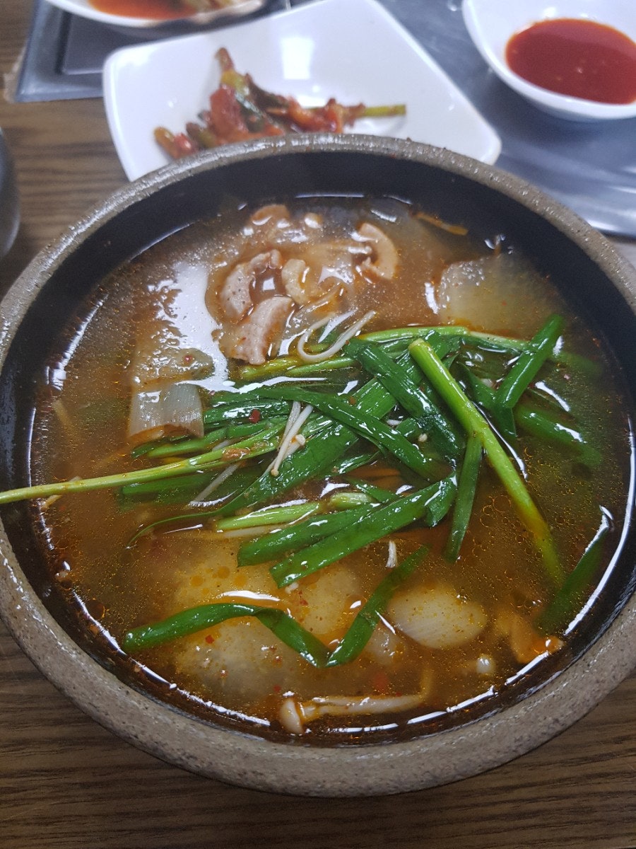 서진청둥오리 사진 2