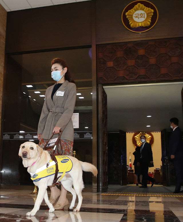 안내견 조이가 바꾼 풍경-김예지새로운전례가 되겠다_시각장애인의 의정활동기반되길 안내견 조이가 바꾼 풍경-김예지새로운전례가 되겠다_시각장애인의 의정활동기반되길